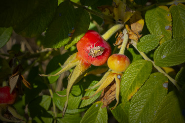 Similar image 21356220