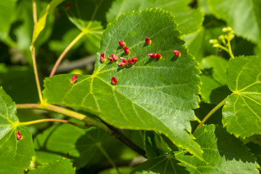 Similar image 21356228