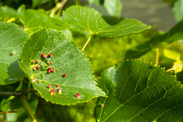 Similar image 21356236