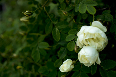 Similar image 21356277