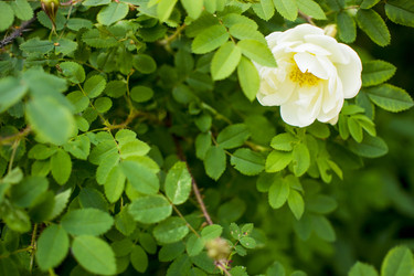 Similar image 21356278