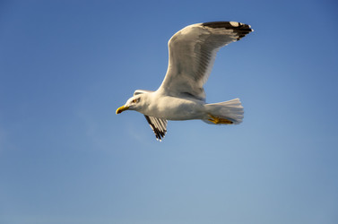 Similar image 21367896