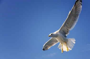 Similar image 21367900