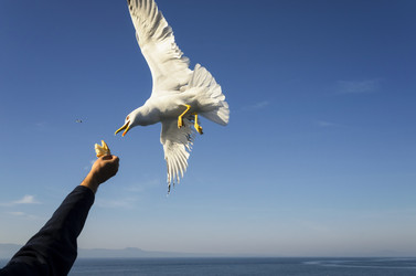 Similar image 21367903