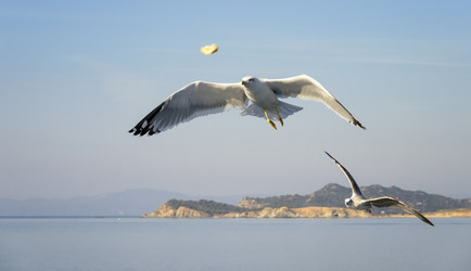 Similar image 21367904