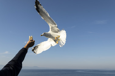 Similar image 21367905