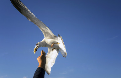 Similar image 21367907