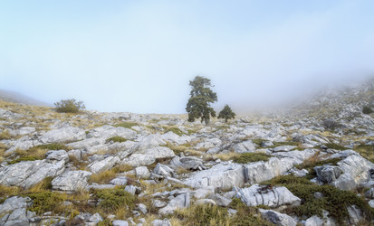 Similar image 21367908