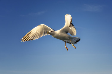 Similar image 21368167