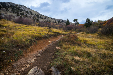 Similar image 21368168