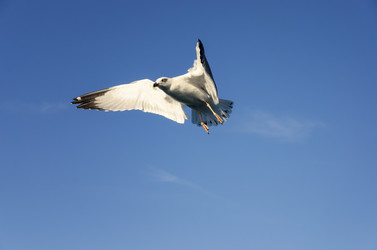 Similar image 21368169