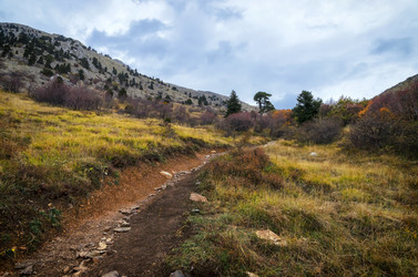 Similar image 21368170