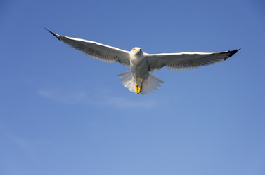 Similar image 21368171