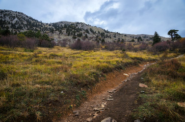 Similar image 21368172