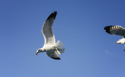 Similar image 21368173