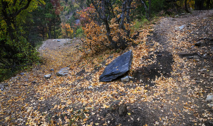 Similar image 21368174