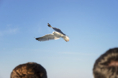 Similar image 21368175