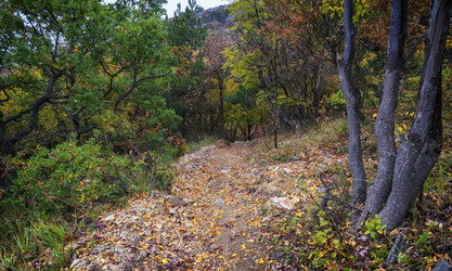 Similar image 21368486