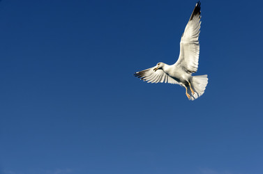 Similar image 21368489