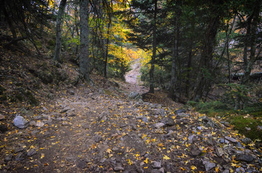 Similar image 21368490