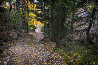 Similar image 21368491