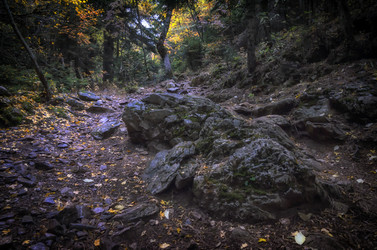 Similar image 21368492