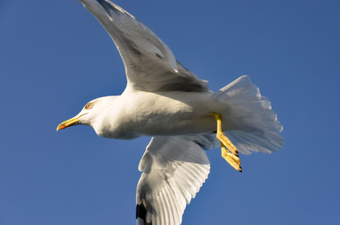 Similar image 21368493