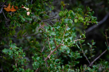 Similar image 21368494