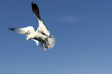 Similar image 21368495