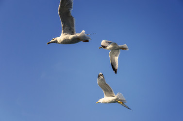 Similar image 21368497