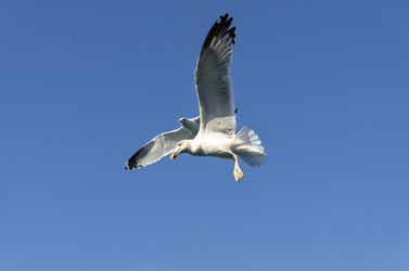 Similar image 21368743