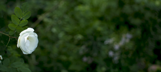 Similar image 21356292