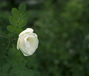 Similar image 21356294