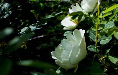 Similar image 21356306