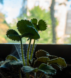 Similar image 21356309