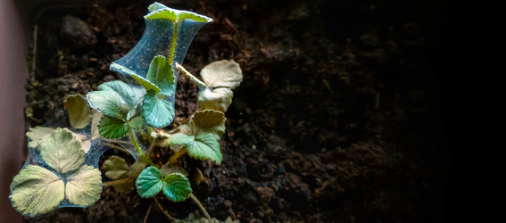 Similar image 21356310