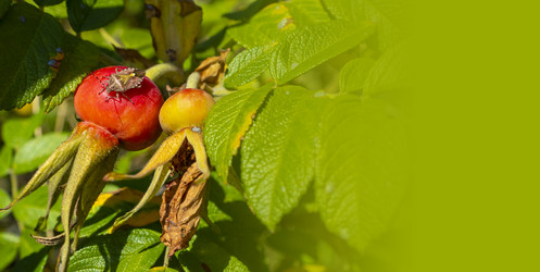 Similar image 21356312