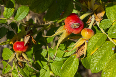 Similar image 21356313