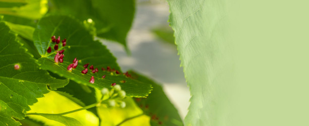 Similar image 21356389