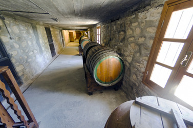 Similar image 21367912