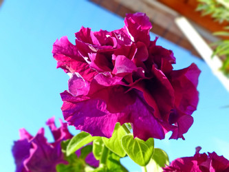 Similar image 21363109