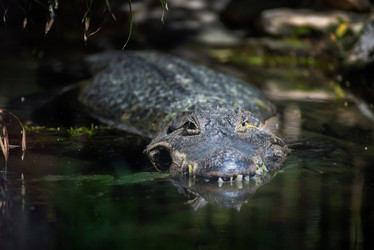 Similar image 21368198