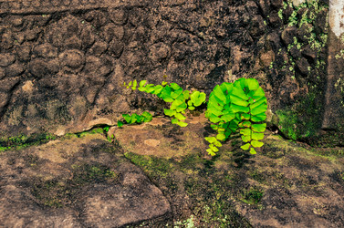 Similar image 21368525