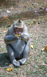 Similar image 21365772