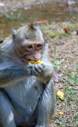 Similar image 21365773