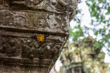 Similar image 21365774