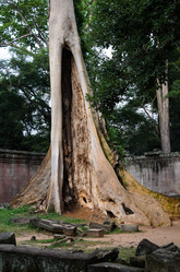 Similar image 21365775