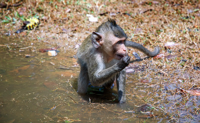 Similar image 21367346