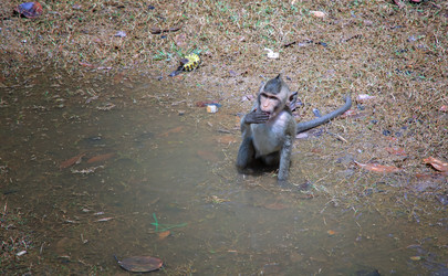 Similar image 21367483