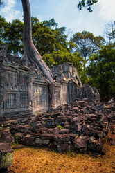 Similar image 21367484